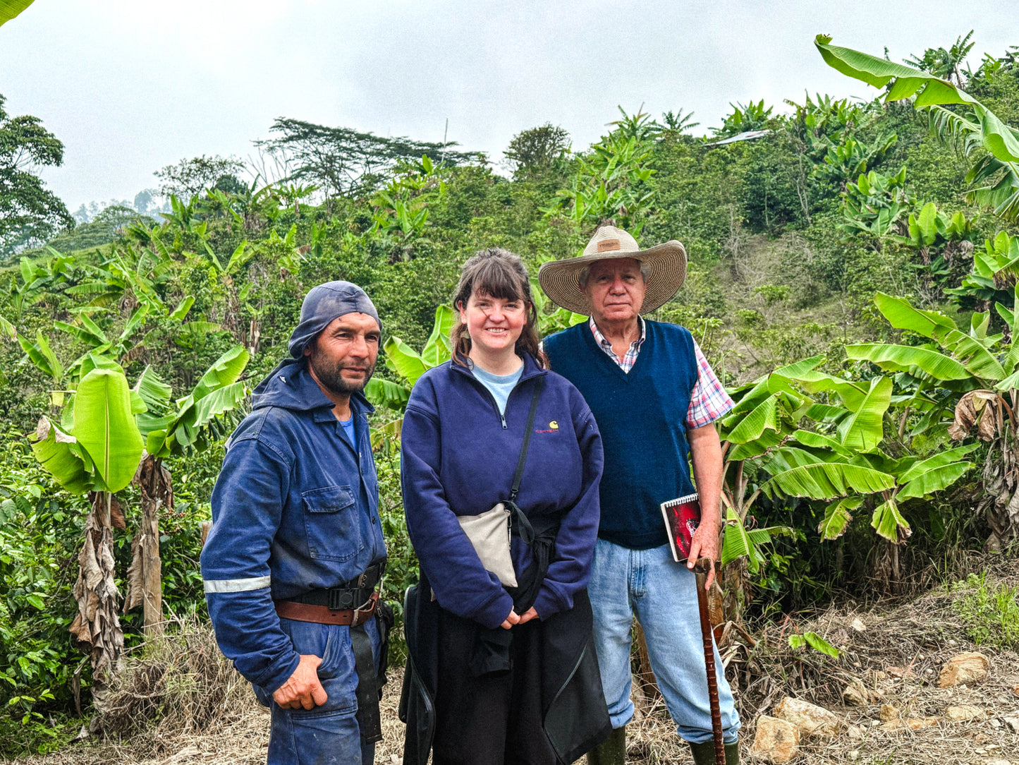 Masterpiece: Finca el Recreo, Colombia - Filter